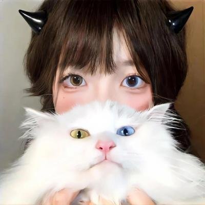 加菲猫2