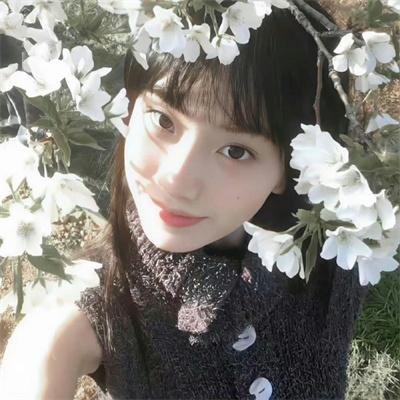 出谷黄莺